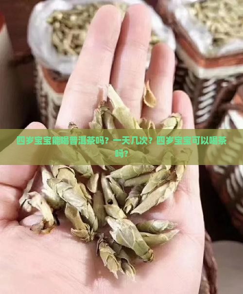 四岁宝宝能喝普洱茶吗？一天几次？四岁宝宝可以喝茶吗？