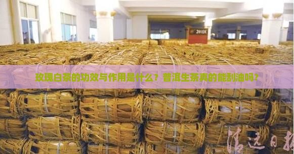 玫瑰白茶的功效与作用是什么？普洱生茶真的能刮油吗？