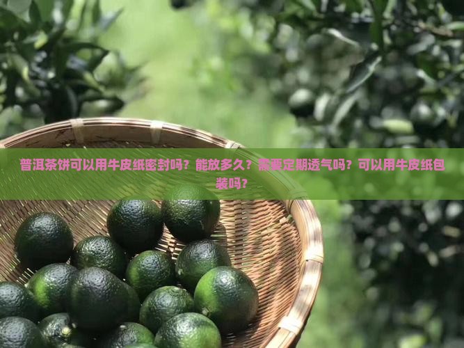 普洱茶饼可以用牛皮纸密封吗？能放多久？需要定期透气吗？可以用牛皮纸包装吗？
