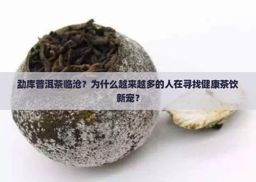勐库普洱茶临沧？为什么越来越多的人在寻找健康茶饮新宠？