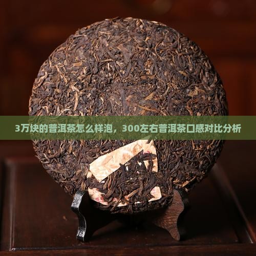 3万块的普洱茶怎么样泡，300左右普洱茶口感对比分析