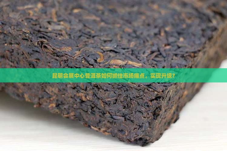 昆明会展中心普洱茶如何抓住市场痛点，实现升级？