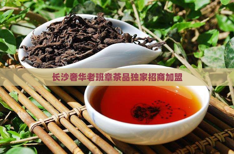 长沙奢华老班章茶品独家招商加盟
