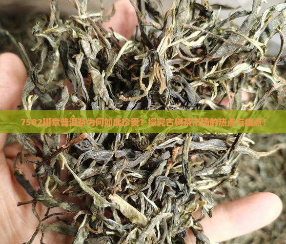 7582班章普洱茶为何如此珍贵？探究古树茶市场的热点与痛点！
