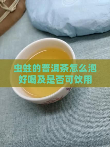 虫蛀的普洱茶怎么泡好喝及是否可饮用