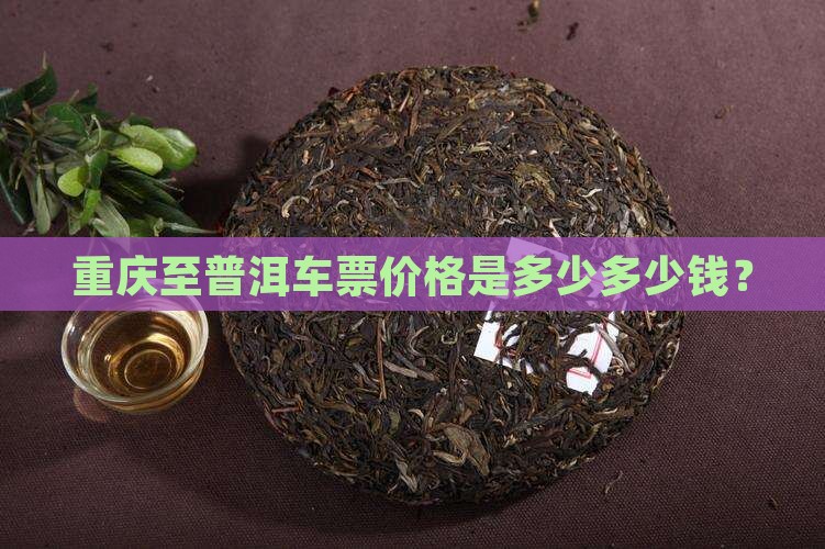 重庆至普洱车票价格是多少多少钱？