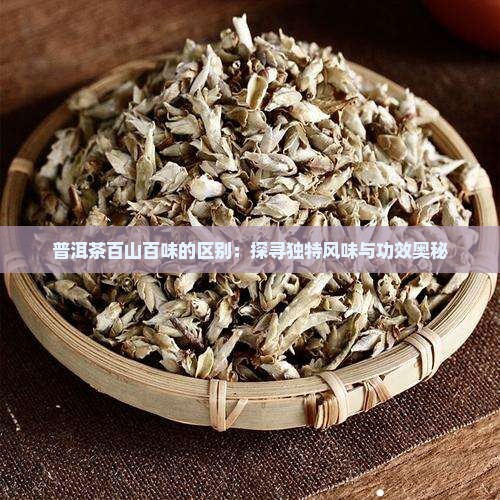 普洱茶百山百味的区别：探寻独特风味与功效奥秘