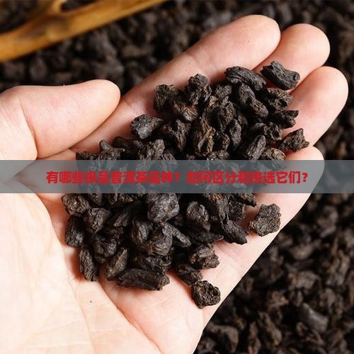 有哪些极品普洱茶品种？如何区分和挑选它们？