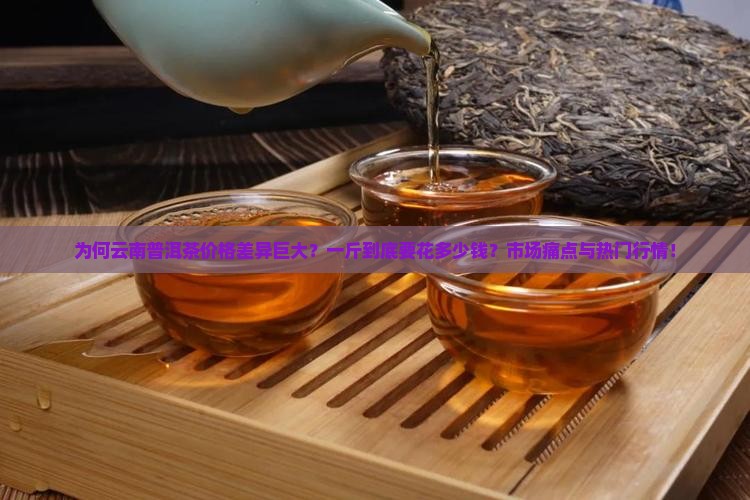 为何云南普洱茶价格差异巨大？一斤到底要花多少钱？市场痛点与热门行情！