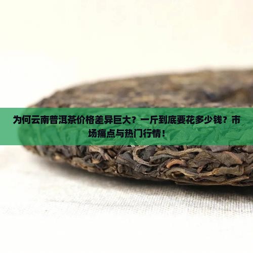 为何云南普洱茶价格差异巨大？一斤到底要花多少钱？市场痛点与热门行情！