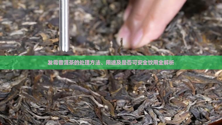 发霉普洱茶的处理方法、用途及是否可安全饮用全解析
