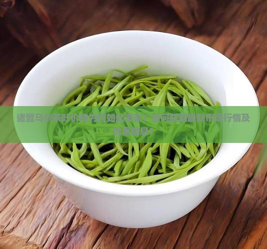 诸暨马剑茶叶价格为何如此波动？如何获取最新市场行情及优惠信息？