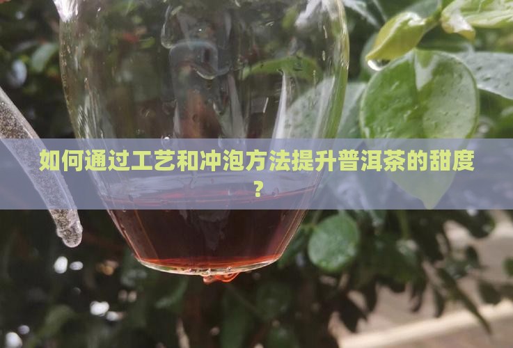 如何通过工艺和冲泡方法提升普洱茶的甜度？