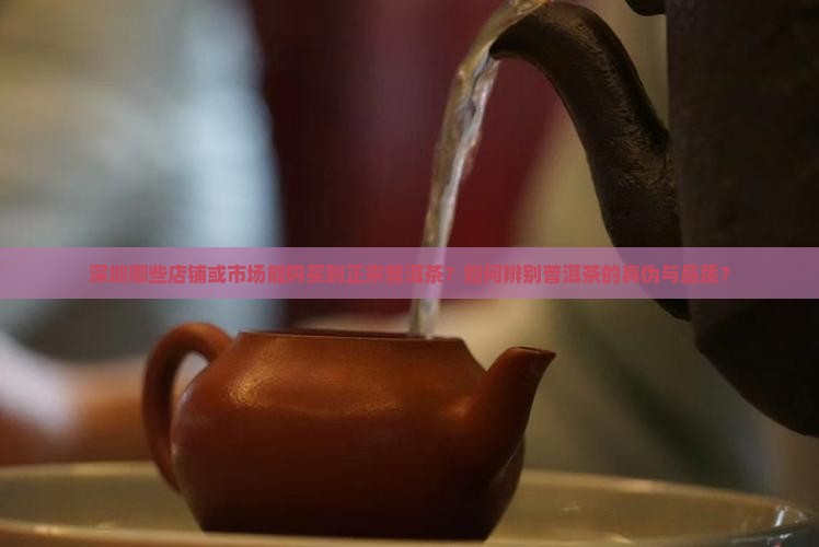 深圳哪些店铺或市场能购买到正宗普洱茶？如何辨别普洱茶的真伪与品质？