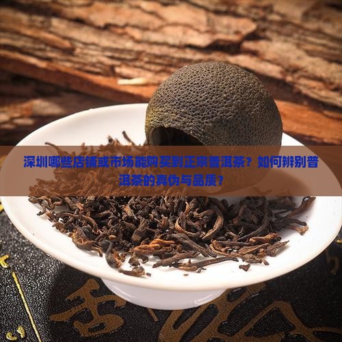 深圳哪些店铺或市场能购买到正宗普洱茶？如何辨别普洱茶的真伪与品质？
