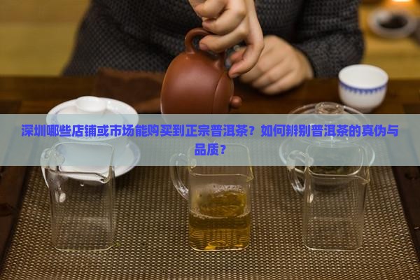 深圳哪些店铺或市场能购买到正宗普洱茶？如何辨别普洱茶的真伪与品质？