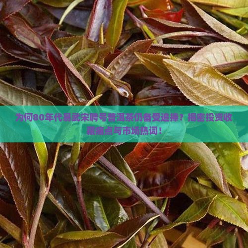 为何80年代易武宋聘号普洱茶仍备受追捧？揭密投资收藏痛点与市场热词！