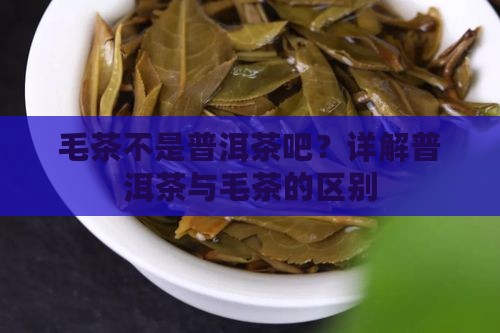 毛茶不是普洱茶吧？详解普洱茶与毛茶的区别