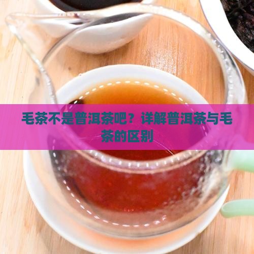 毛茶不是普洱茶吧？详解普洱茶与毛茶的区别