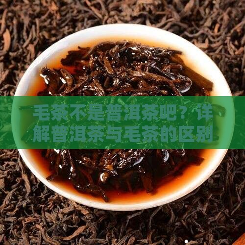 毛茶不是普洱茶吧？详解普洱茶与毛茶的区别