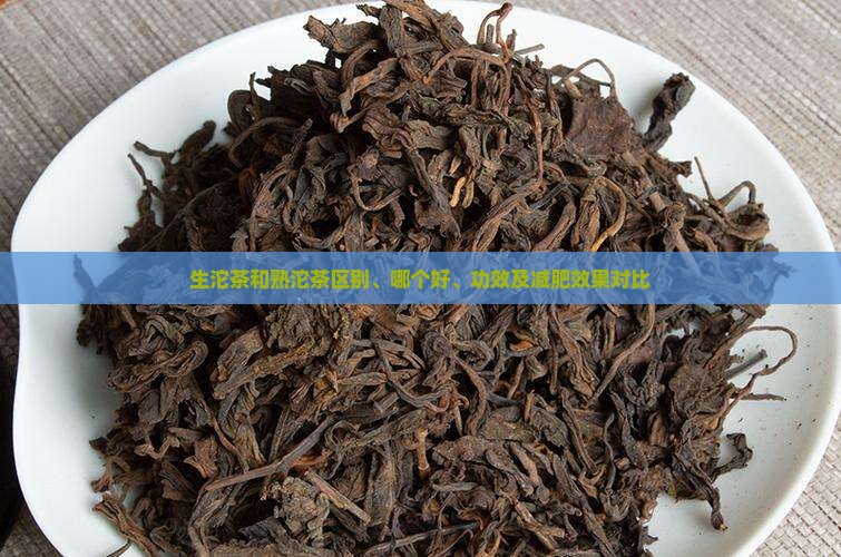 生沱茶和熟沱茶区别、哪个好、功效及减肥效果对比