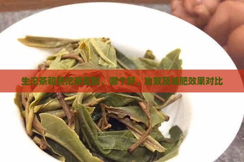 生沱茶和熟沱茶区别、哪个好、功效及减肥效果对比
