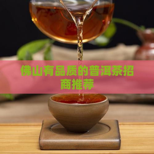 佛山有品质的普洱茶招商推荐