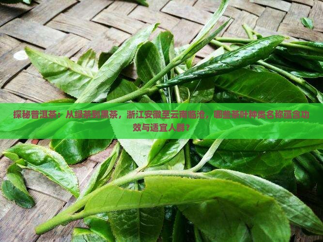 探秘普洱茶：从绿茶到黑茶，浙江安徽至云南临沧，哪些茶叶种类名称蕴含功效与适宜人群？
