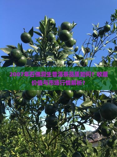 2007年石佛洞生普洱茶品质如何？收藏价值与市场行情解析？