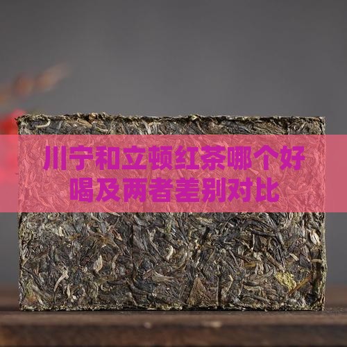 川宁和立顿红茶哪个好喝及两者差别对比