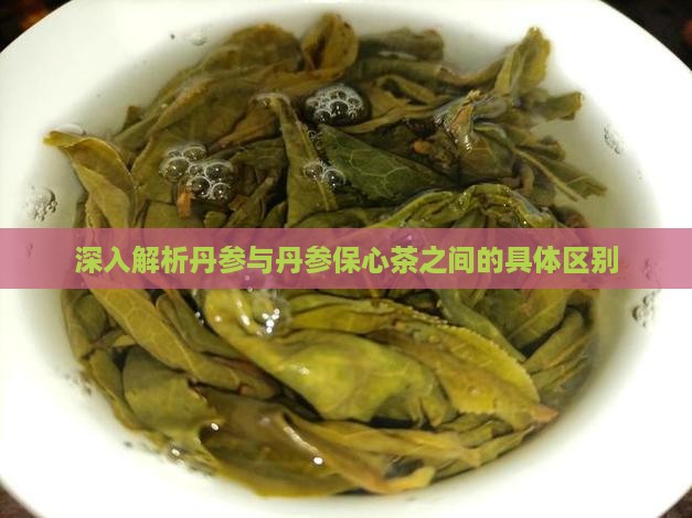 深入解析丹参与丹参保心茶之间的具体区别