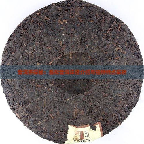 普洱茶探秘：曼松普洱详细介绍与独特特点解析
