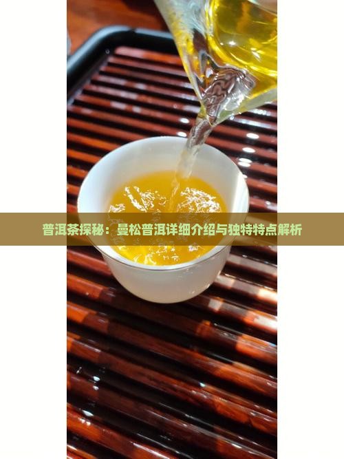 普洱茶探秘：曼松普洱详细介绍与独特特点解析