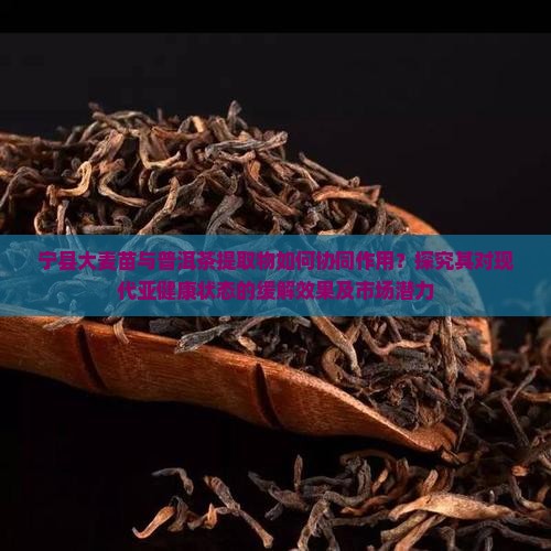 宁县大麦苗与普洱茶提取物如何协同作用？探究其对现代亚健康状态的缓解效果及市场潜力
