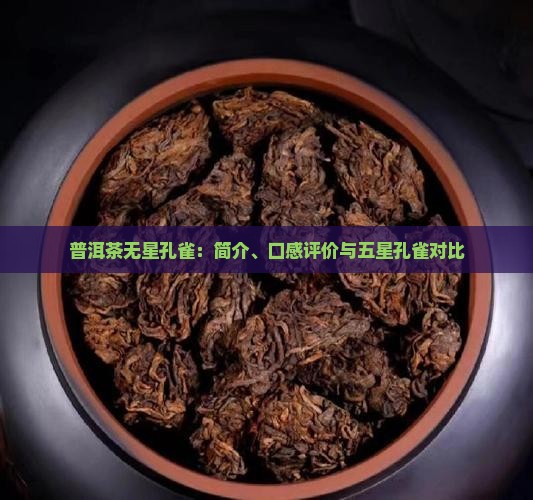 普洱茶无星孔雀：简介、口感评价与五星孔雀对比
