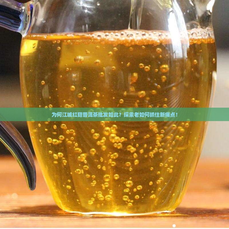 为何江城红菇普洱茶批发如此？探索老如何抓住新痛点！