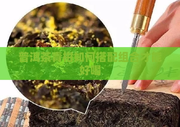普洱茶青柑如何搭配组合才能好喝