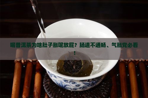 喝普洱茶为啥肚子胀呢放屁？肠道不通畅、气胀党必看！