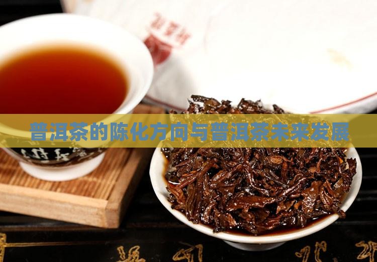 普洱茶的陈化方向与普洱茶未来发展