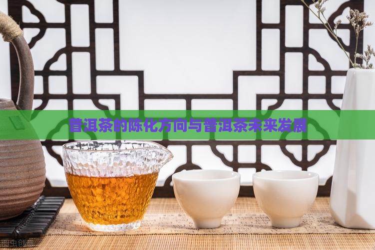 普洱茶的陈化方向与普洱茶未来发展