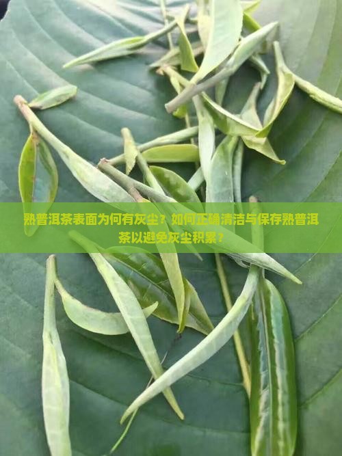 熟普洱茶表面为何有灰尘？如何正确清洁与保存熟普洱茶以避免灰尘积累？