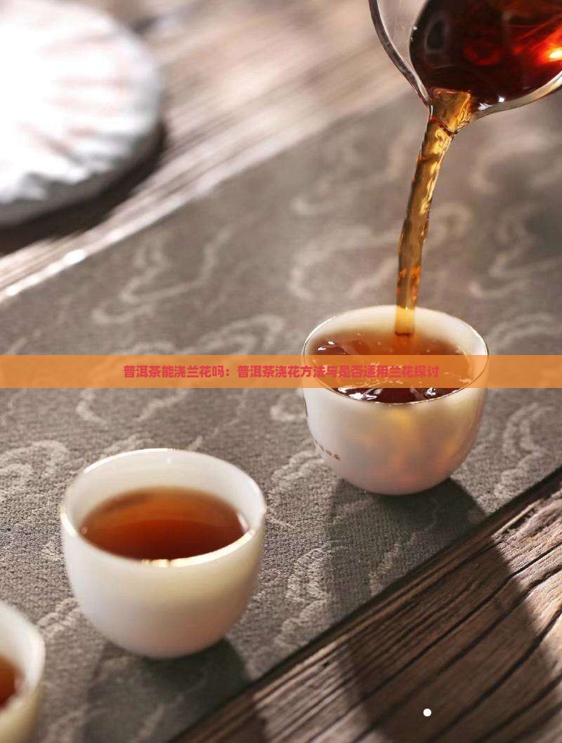 普洱茶能浇兰花吗：普洱茶浇花方法与是否适用兰花探讨