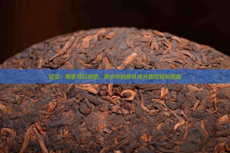 证实：喝茶可以减肥，茶水中的茶叶成分助您轻松瘦身
