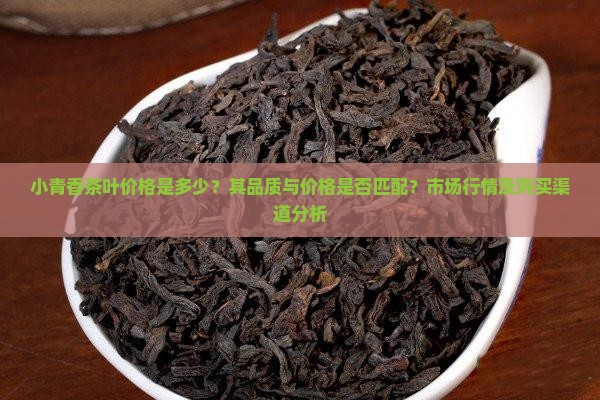 小青香茶叶价格是多少？其品质与价格是否匹配？市场行情及购买渠道分析