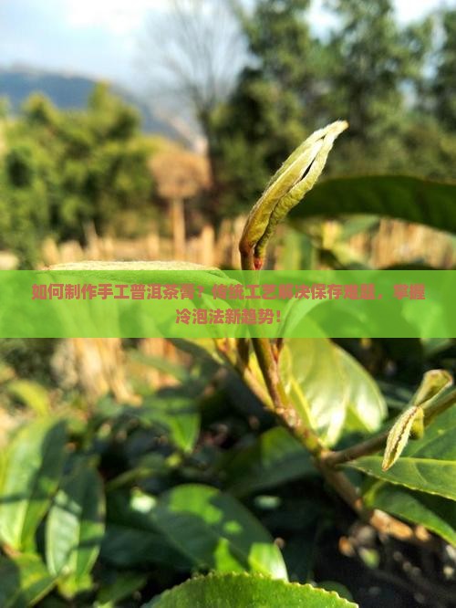 如何制作手工普洱茶膏？传统工艺解决保存难题，掌握冷泡法新趋势！