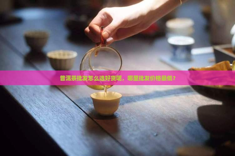 普洱茶批发怎么选好货呢，哪里批发价格最低？