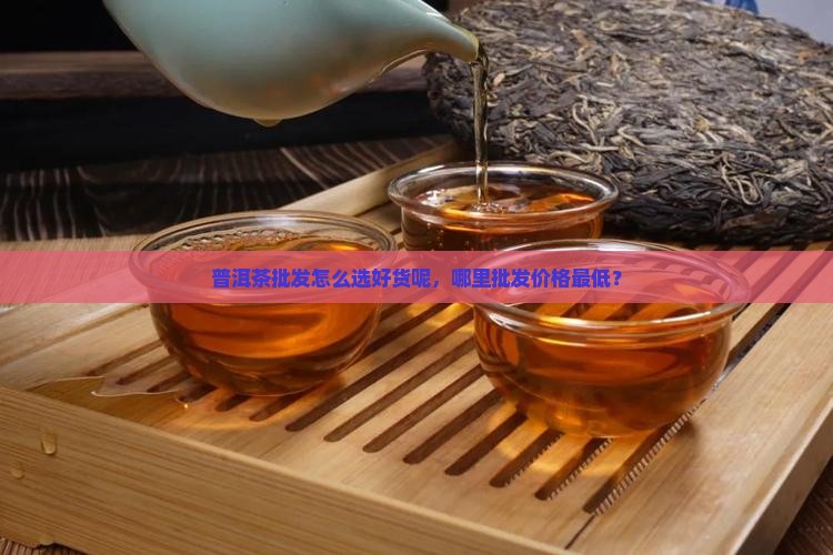 普洱茶批发怎么选好货呢，哪里批发价格最低？