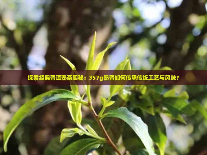 探索经典普洱熟茶奥秘：357g熟普如何传承传统工艺与风味？