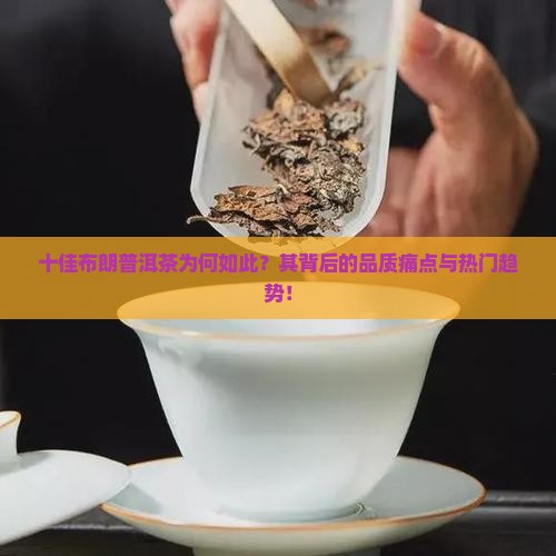 十佳布朗普洱茶为何如此？其背后的品质痛点与热门趋势！