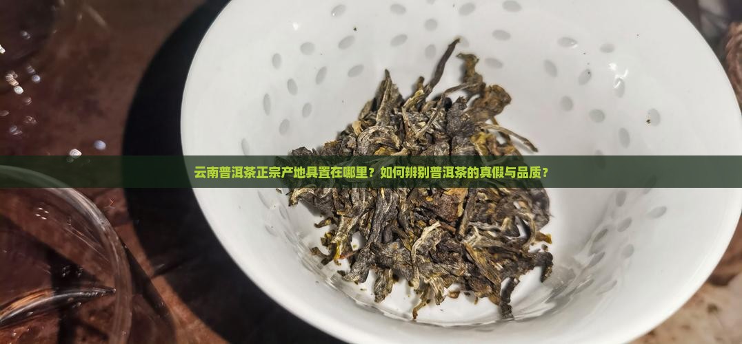 云南普洱茶正宗产地具置在哪里？如何辨别普洱茶的真假与品质？